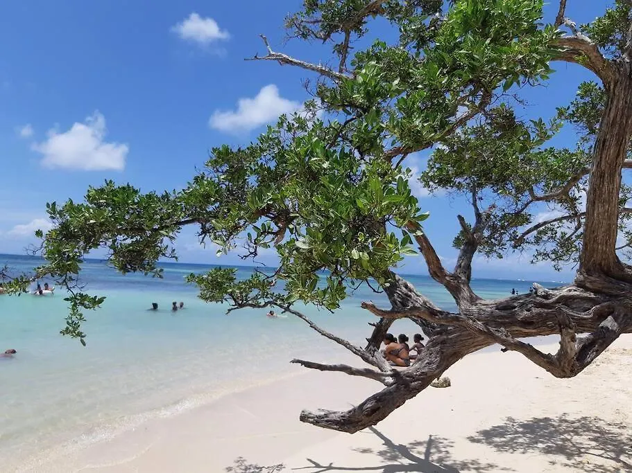 Rare : Bungalow Bois Avec Piscine Privee , Gite Ti Plaisir Le Moule Holiday home