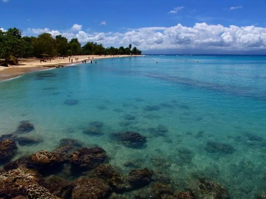 Rare : Bungalow Bois Avec Piscine Privee , Gite Ti Plaisir Le Moule